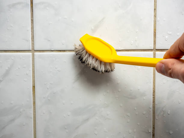 Best Office Mold Removal Services  in Granger, IA
